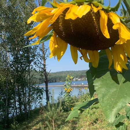 Vakantiewoning Guesthouse Momo Dilsen-Stokkem Zewnętrze zdjęcie